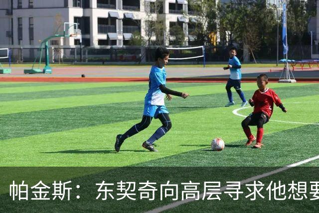 帕金斯：东契奇向高层寻求他想要的人 他巅峰也就剩未来三四年了